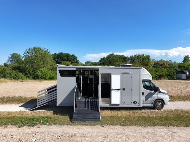 Pferdetransporter Iveco Daily