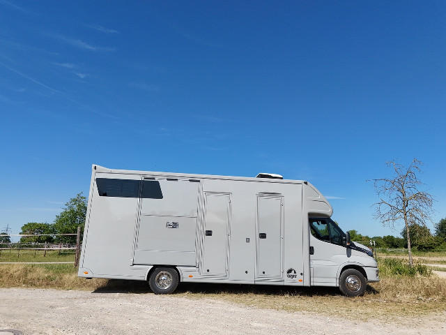 Pferdetransporter Iveco Daily