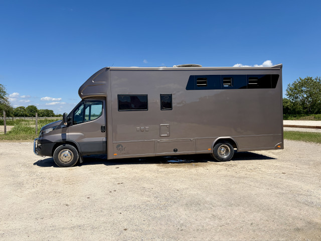 Pferdetransporter Iveco Daily