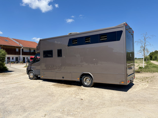 Pferdetransporter Iveco Daily