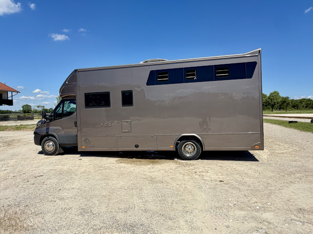 Pferdetransporter Iveco Daily