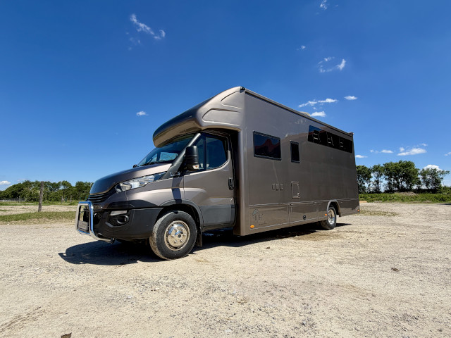 Pferdetransporter Iveco Daily