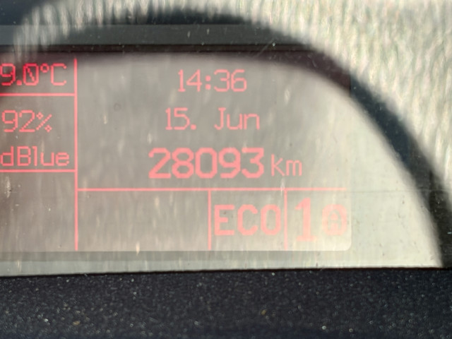 Pferdetransporter Iveco Daily