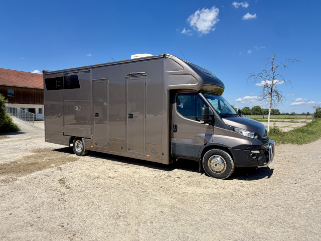 Pferdetransporter Iveco Daily