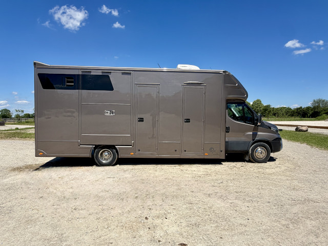 Pferdetransporter Iveco Daily
