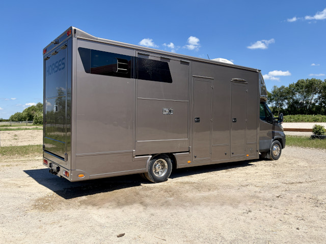 Pferdetransporter Iveco Daily