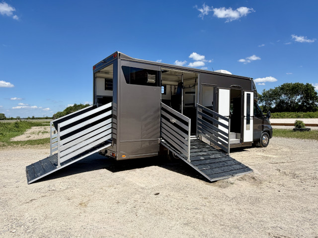 Pferdetransporter Iveco Daily