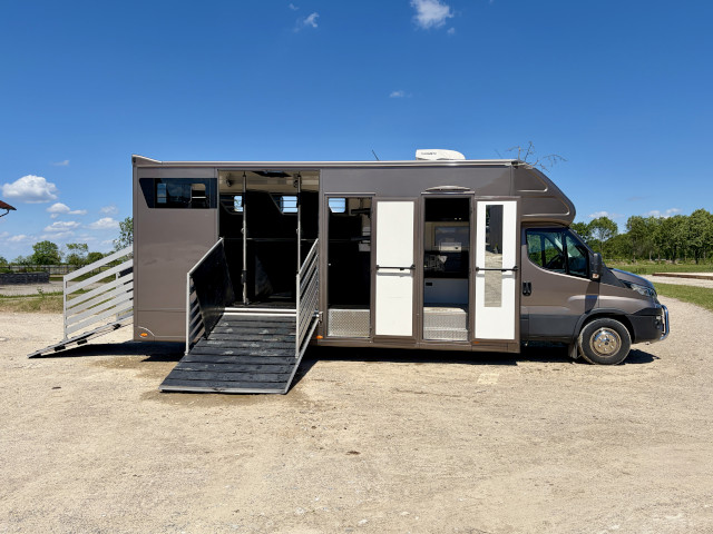 Pferdetransporter Iveco Daily