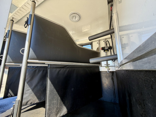 Pferdetransporter Iveco Daily