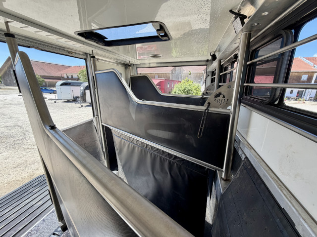Pferdetransporter Iveco Daily
