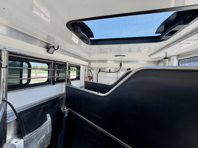Pferdetransporter Iveco Daily