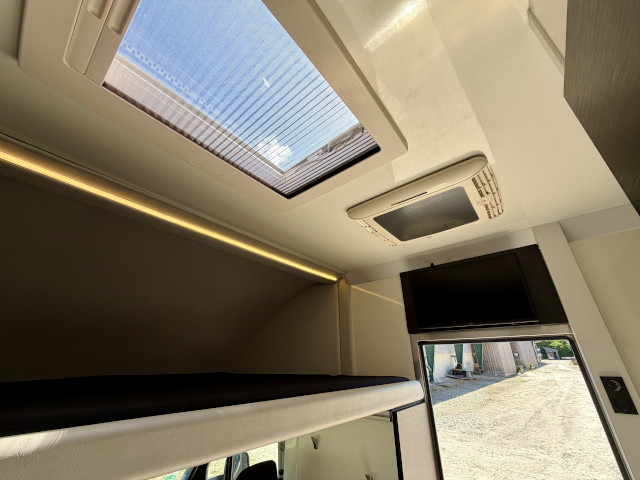 Pferdetransporter Iveco Daily